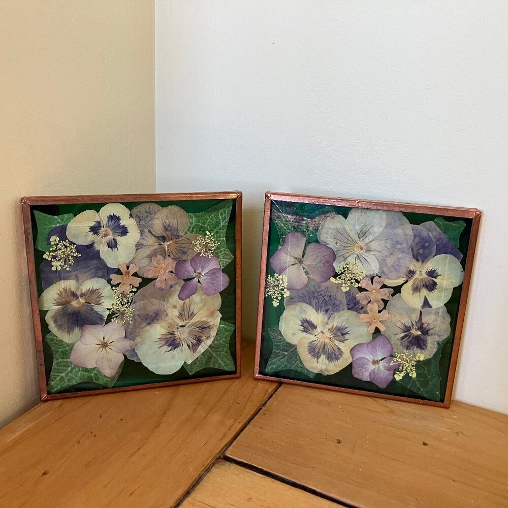 Pressed Flower Glass Coasters Set of 2 Vintage Vancouver Island Pansy Floral